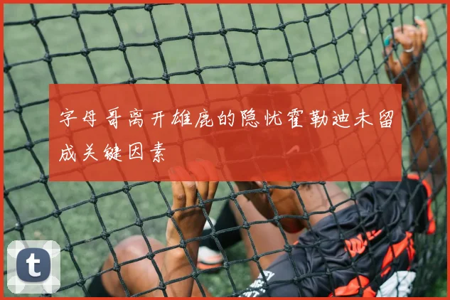 字母哥离开雄鹿的隐忧霍勒迪未留成关键因素